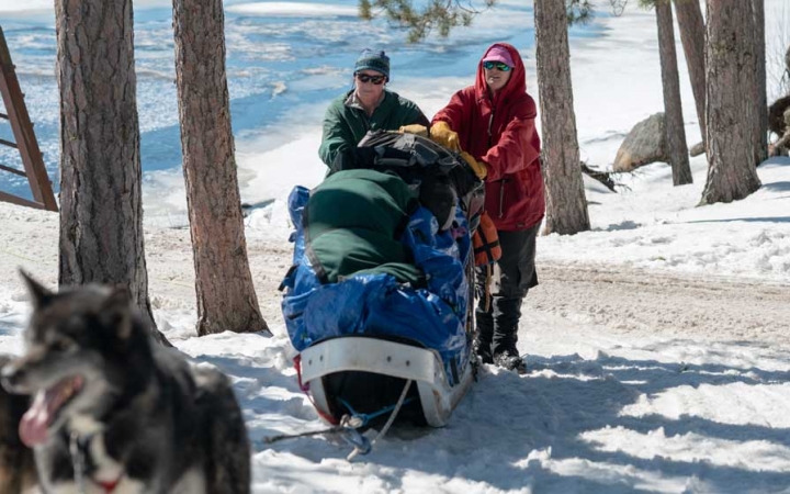 adult dog sledding trip in minnesota